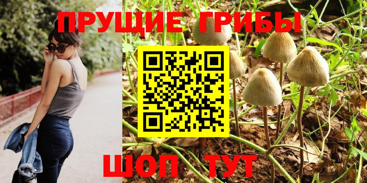 Псилоцибиновые грибы Cubensis  Вход с VPN  Выборг 